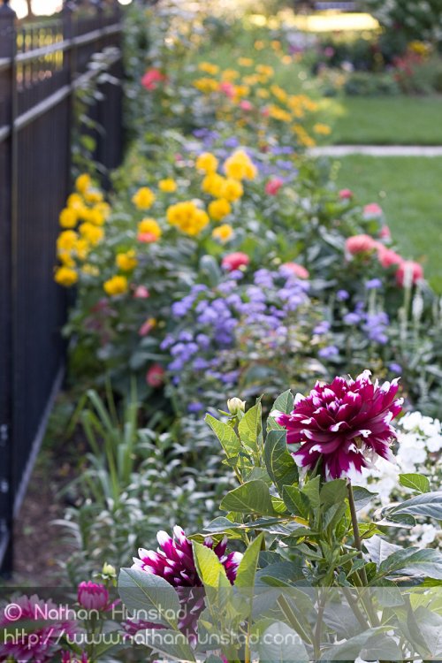 Summit_Avenue_2008-08-24_IMG_1578